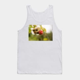 blb red raspberry Tank Top